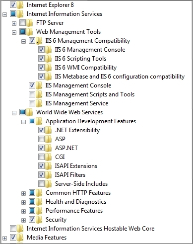 IIS 7 settings